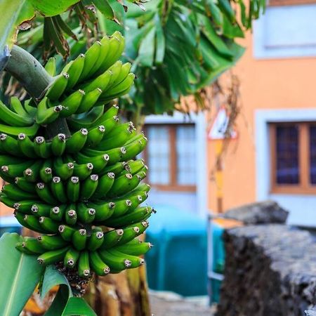 Appartamento Telémaco Blue Agulo Esterno foto